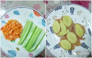 喵喵吃烧瓜,喵喵的烧瓜盛宴之旅