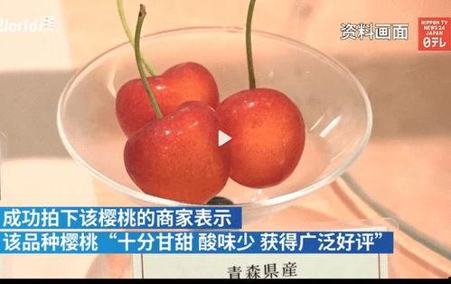 兔子吃花蜜瓜吗怎么吃的,兔子如何享用花蜜瓜的甜蜜时光