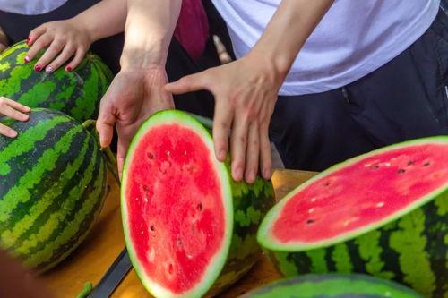 吃瓜剧集免费,免费畅享的娱乐盛宴