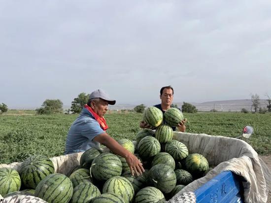 河北地区吃瓜,清凉一夏，品味地方特色