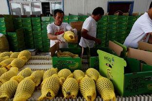 吃瓜不落后,紧跟娱乐圈热点，洞察幕后真相