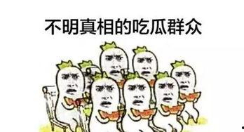 成都新闻吃瓜群众,吃瓜群众热议的幕后故事揭晓