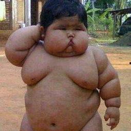 吃瓜系统小胖墩,吃瓜系统中的美食探索之旅