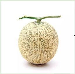 摆件吃瓜群众,揭秘网络热点的幕后故事