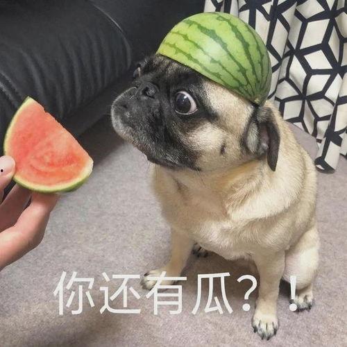 吃瓜包头发,包头事件背后的真相与反思