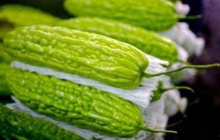 矮瓜孕妇可以吃吗,安全与营养两不误