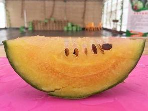 收集最近吃的瓜,揭秘明星们的甜蜜与苦涩