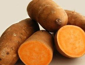 减肥吃土瓜的做法,轻松吃出健康苗条身材