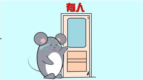 小笨吃瓜,揭秘娱乐圈那些不为人知的幕后故事