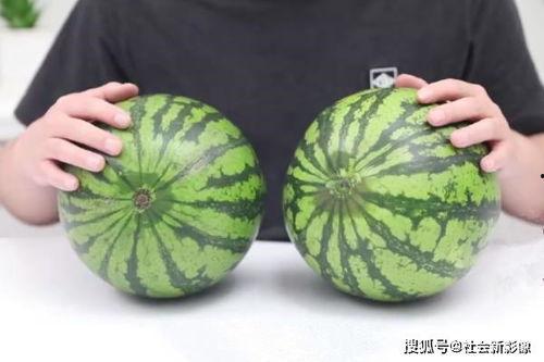 吃瓜保甜网站,带你领略瓜界甜蜜新风尚