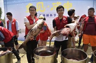 吃瓜椰椰大桶,夏日消暑新宠