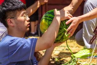 大学感情吃瓜,揭秘大学里的甜蜜与纠葛