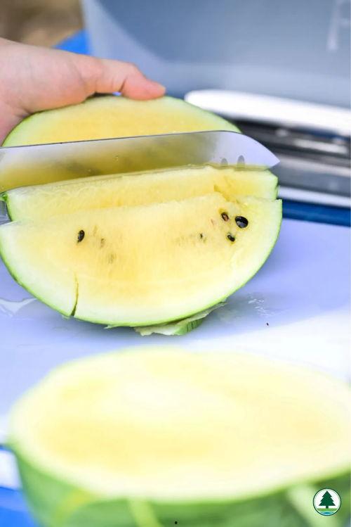 香港洪港吃瓜,揭秘香港美食界的“吃瓜”传奇