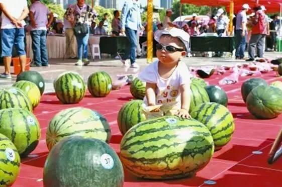王大瓜吃西瓜,王大瓜的夏日西瓜盛宴