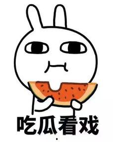 动动带你吃瓜,尽享味蕾盛宴