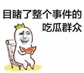 吃瓜群众OZS,揭秘娱乐圈幕后故事