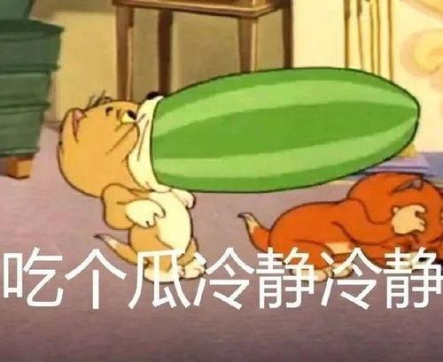 猫和老鼠吃瓜皇