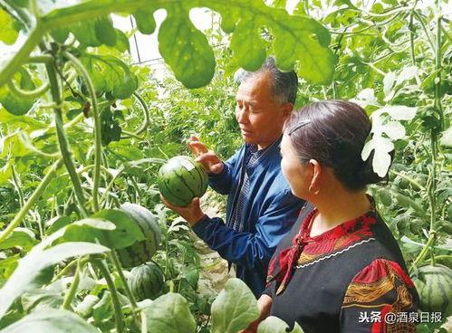 吃瓜小场景团练,吃瓜小场景团练欢乐多