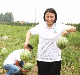 丁佳吃瓜群众,吃瓜群众的视角，揭秘娱乐圈风云