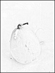 新沂哪里可以吃瓜,探寻当地特色瓜果美食之旅