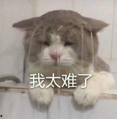 内娱吃瓜文案,揭秘娱乐圈背后的那些事儿